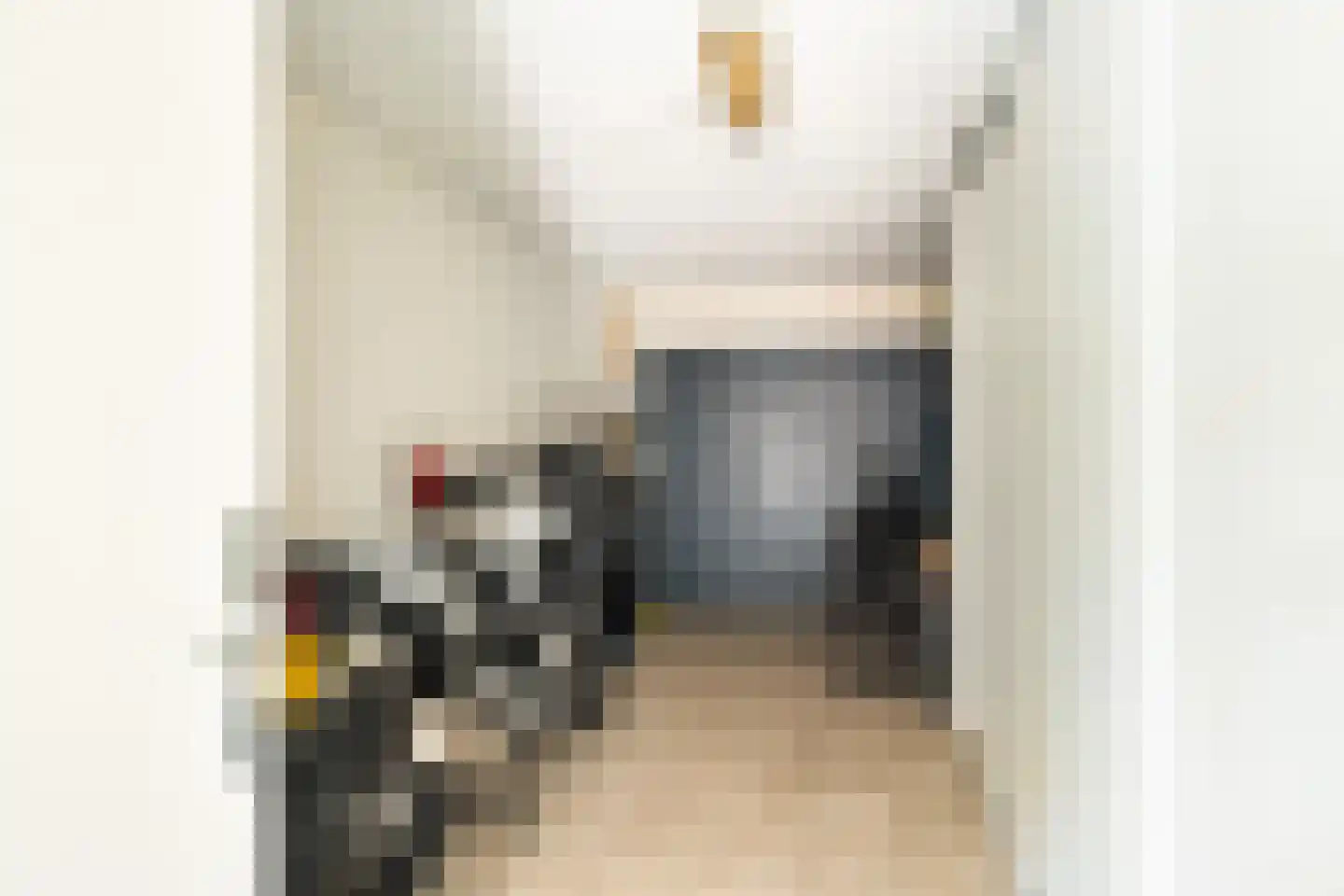 Gouderakstraat 25 Zoetermeer thumbnail 18