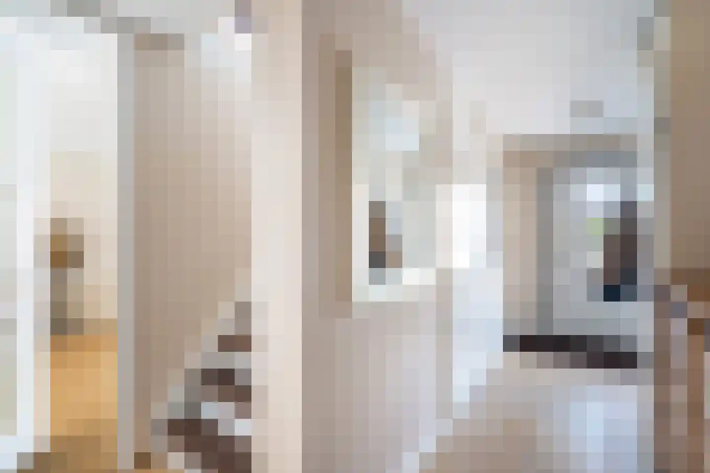 Gouderakstraat 25 Zoetermeer thumbnail 31