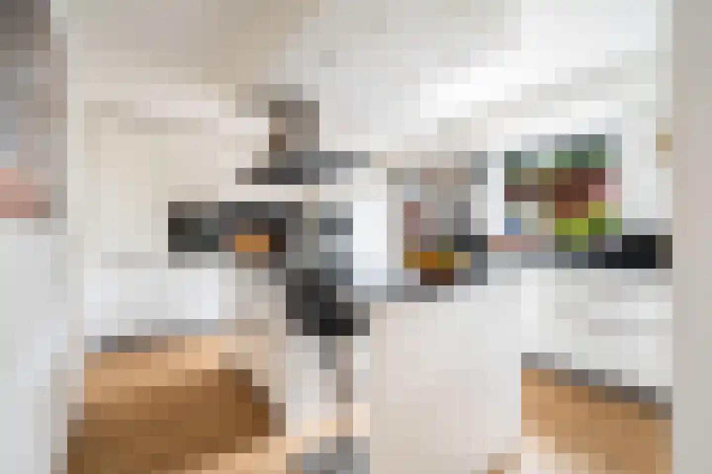 Gouderakstraat 25 Zoetermeer thumbnail 4