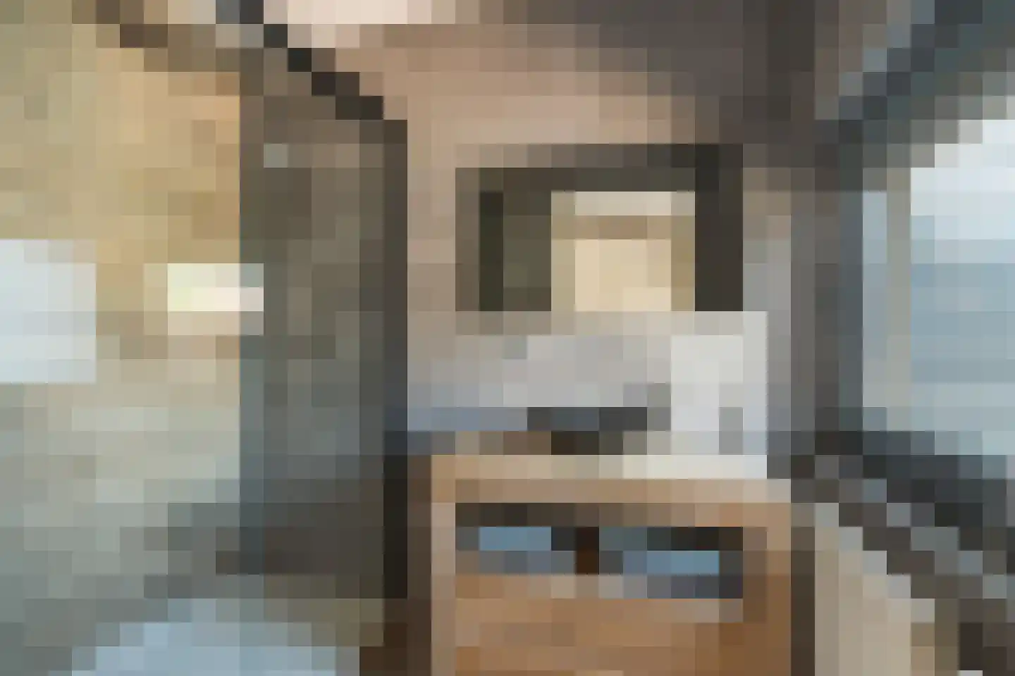 Gouderakstraat 25 Zoetermeer thumbnail 45