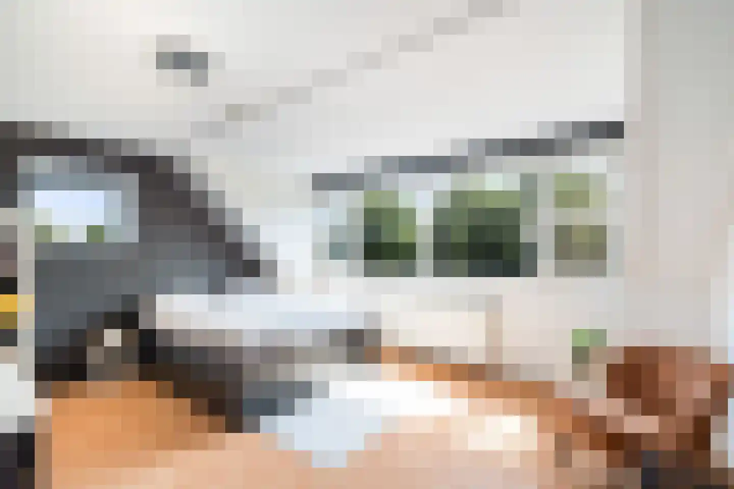 Gouderakstraat 25 Zoetermeer thumbnail 54