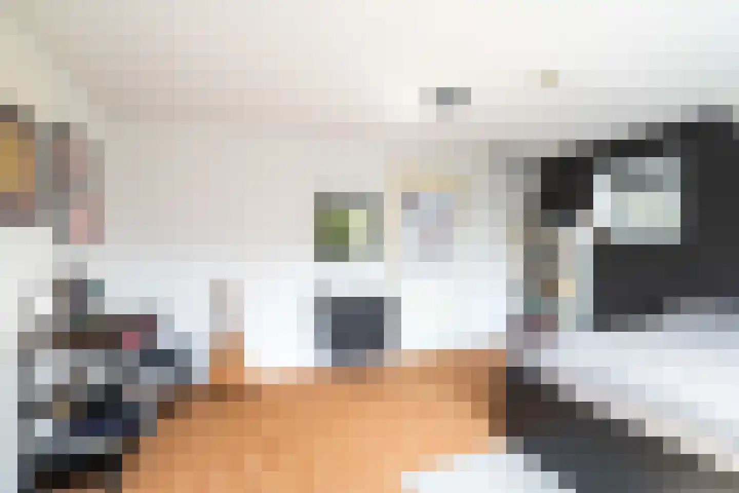 Gouderakstraat 25 Zoetermeer thumbnail 55