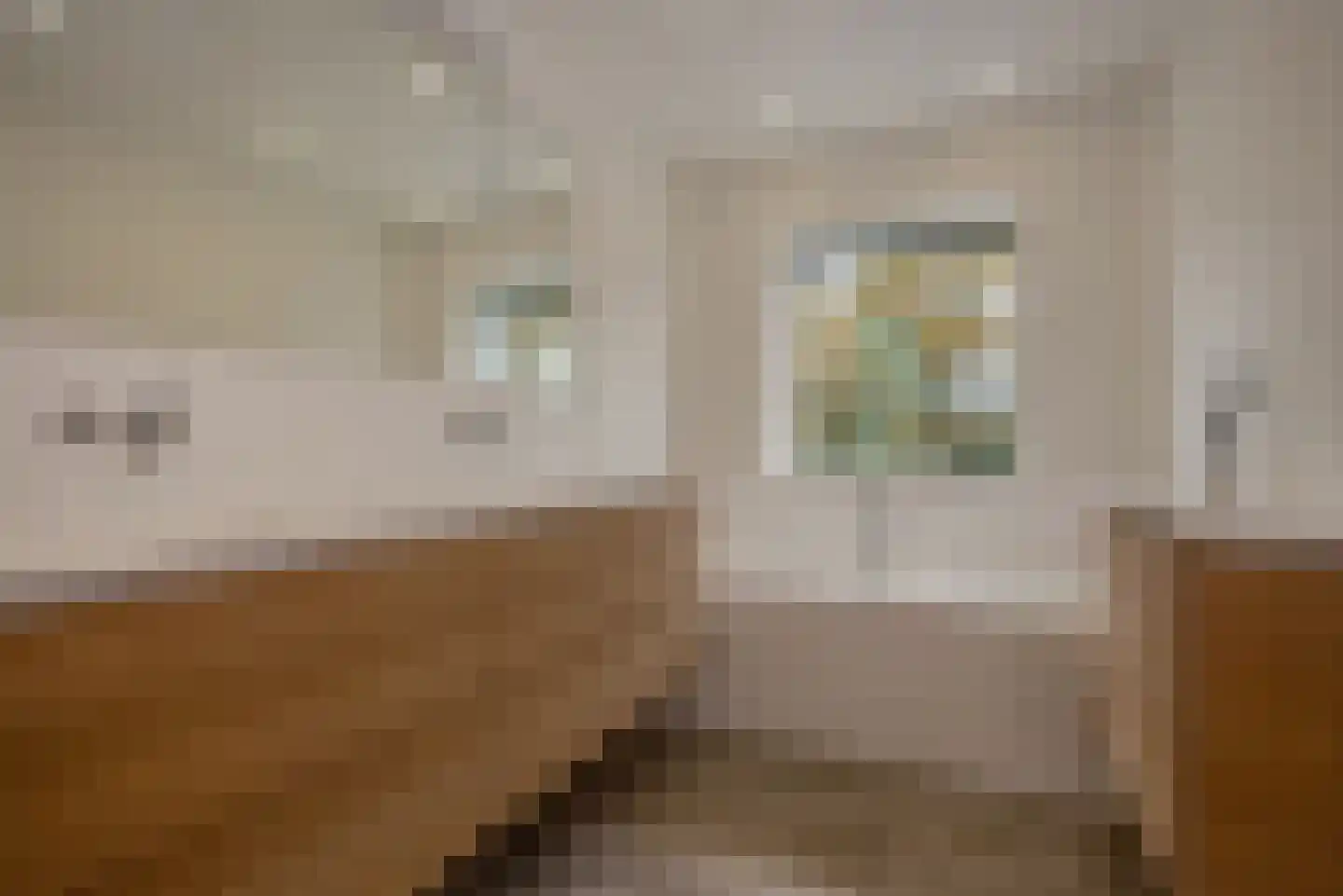 Gouderakstraat 49 Zoetermeer thumbnail 31