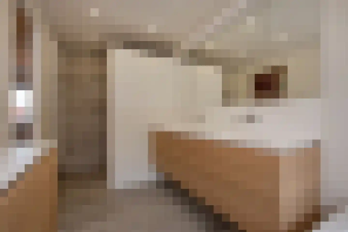 Gouderakstraat 49 Zoetermeer thumbnail 32