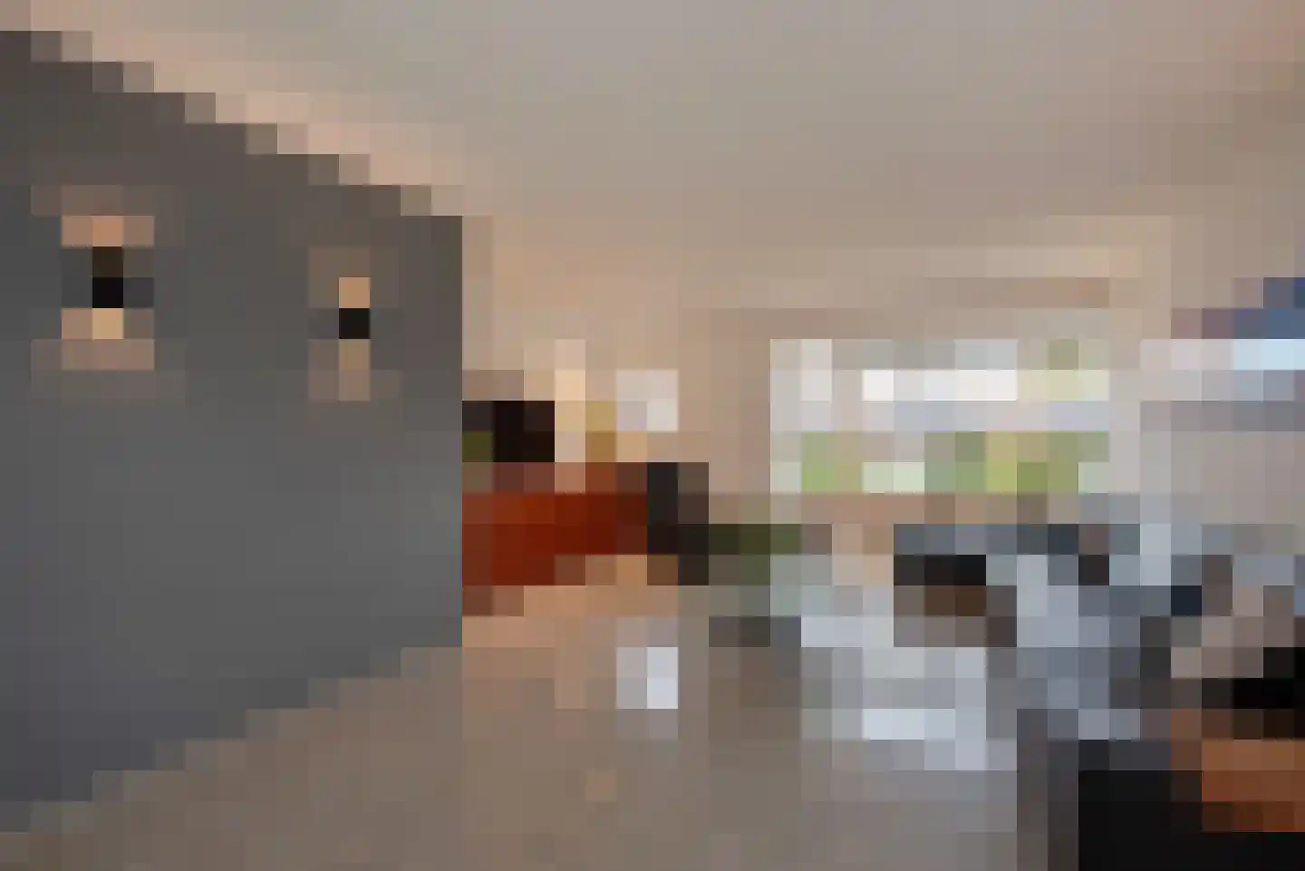 Gouderakstraat 49 Zoetermeer thumbnail 7