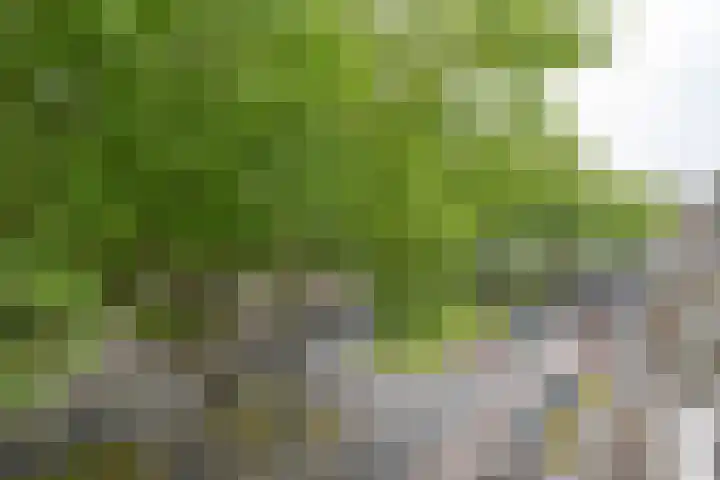 Goudestein 162 Rotterdam thumbnail 22