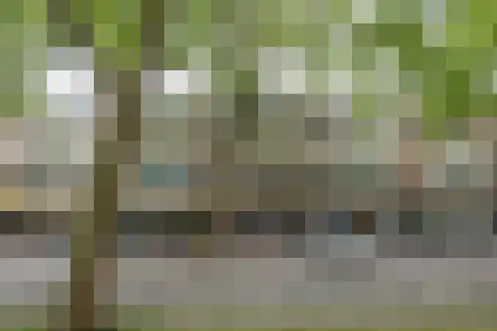 Goudestein 162 Rotterdam thumbnail 25