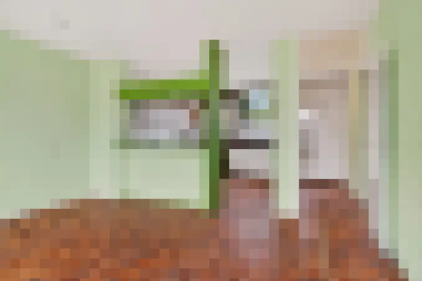 Goudestein 28 Eindhoven thumbnail 7