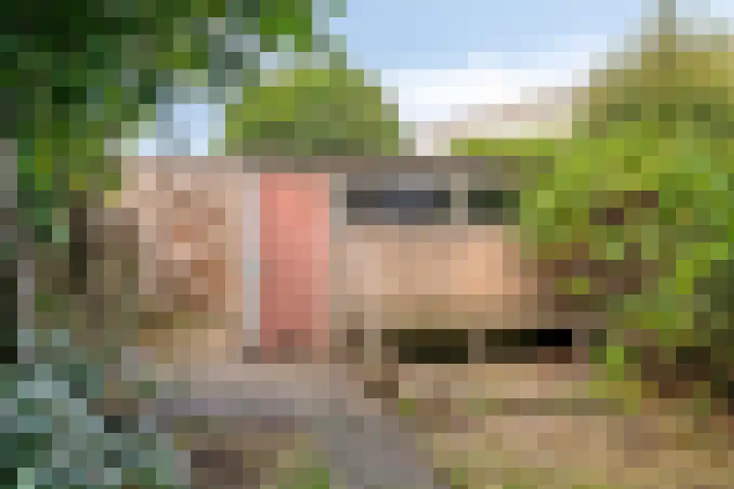 Goudestein 53 Eindhoven thumbnail 30