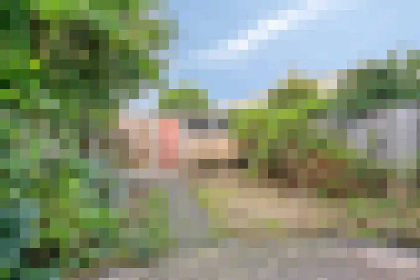 Goudestein 53 Eindhoven thumbnail 5