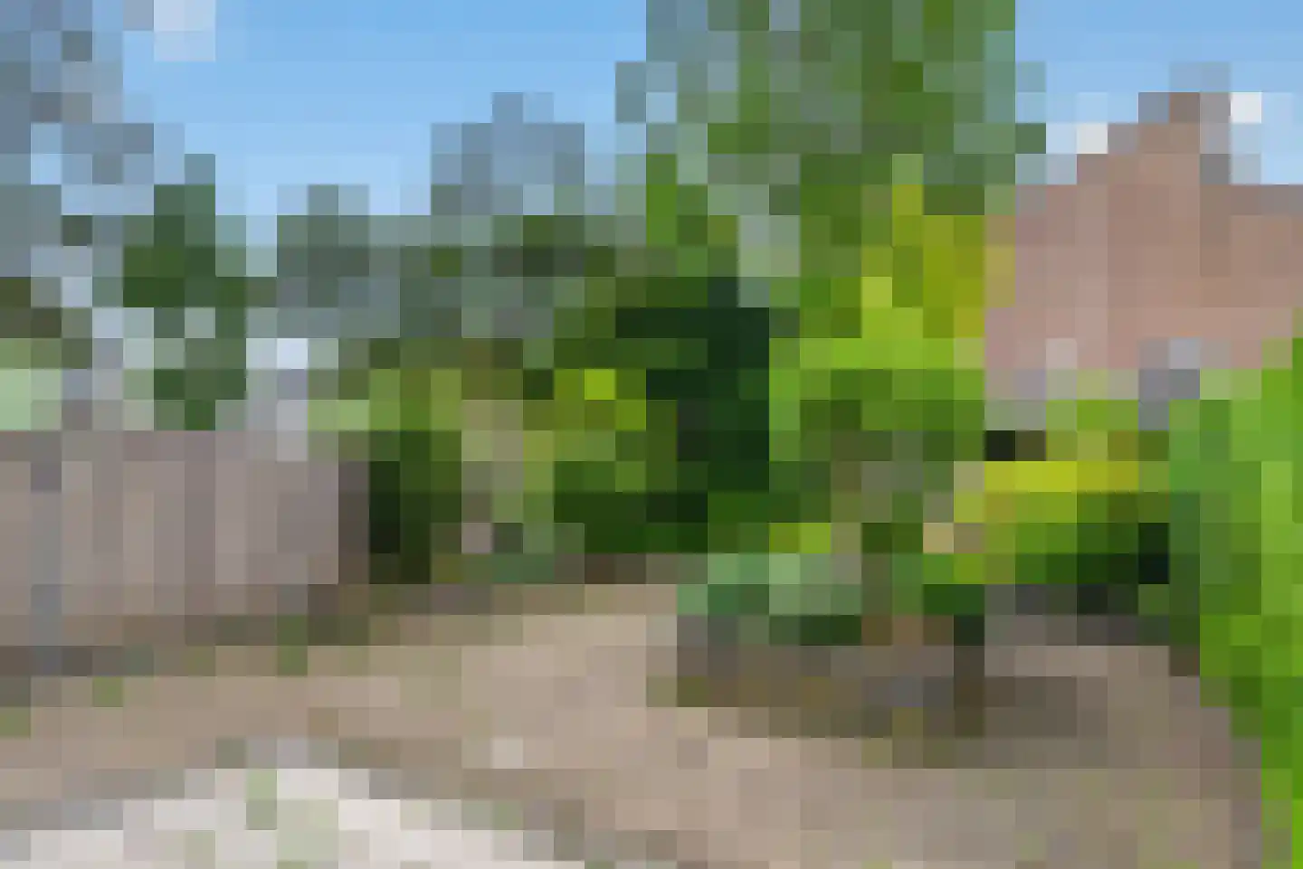 Goudestein 57 Eindhoven thumbnail 26