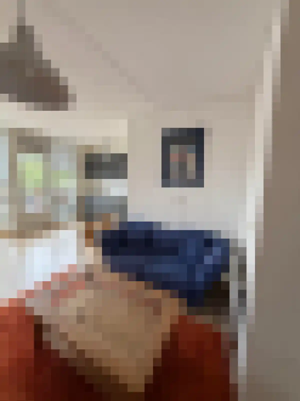 Goudestein 64 Eindhoven thumbnail 4