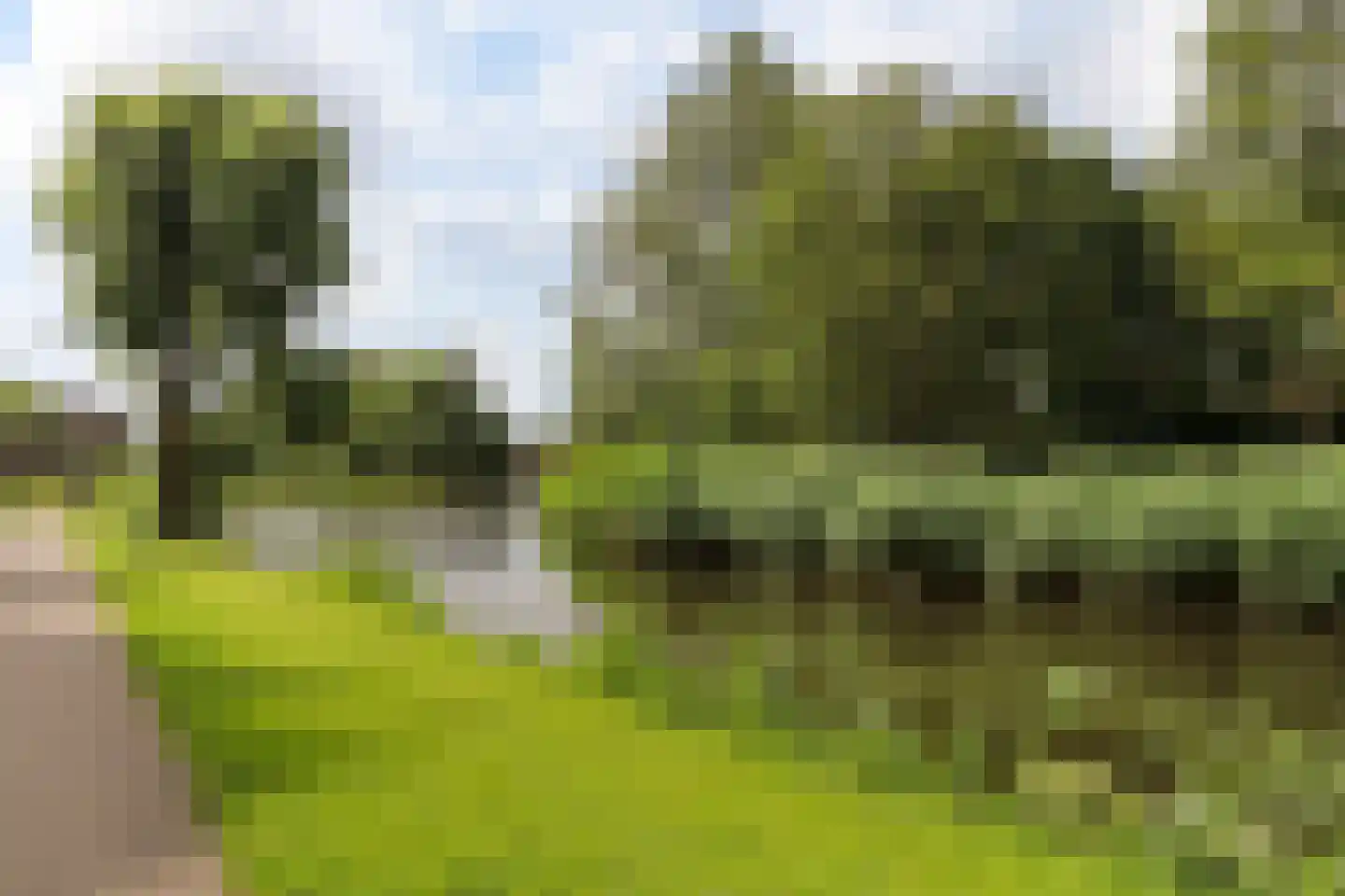 Goudestein 92 Dordrecht thumbnail 27