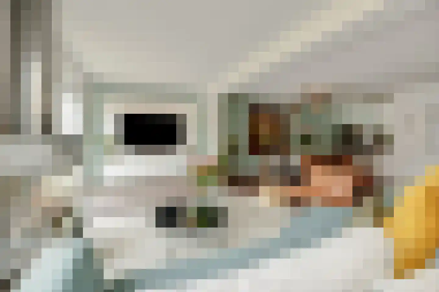 Goudesteinstede 13 's-Hertogenbosch thumbnail 10