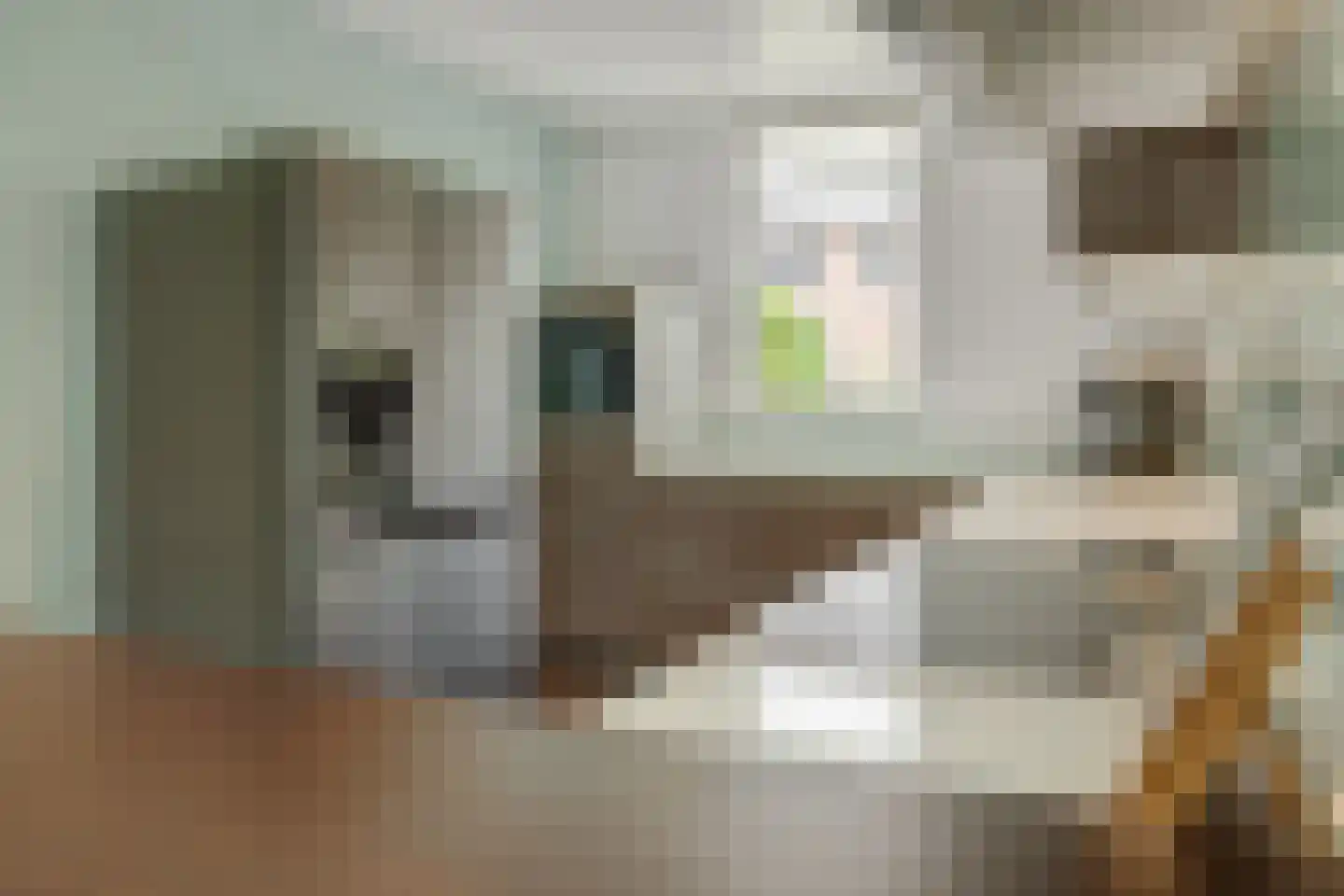 Goudesteinstede 13 's-Hertogenbosch thumbnail 15