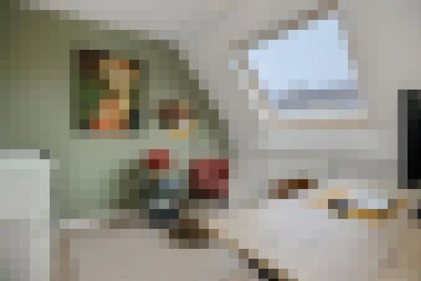 Goudesteinstede 13 's-Hertogenbosch thumbnail 21
