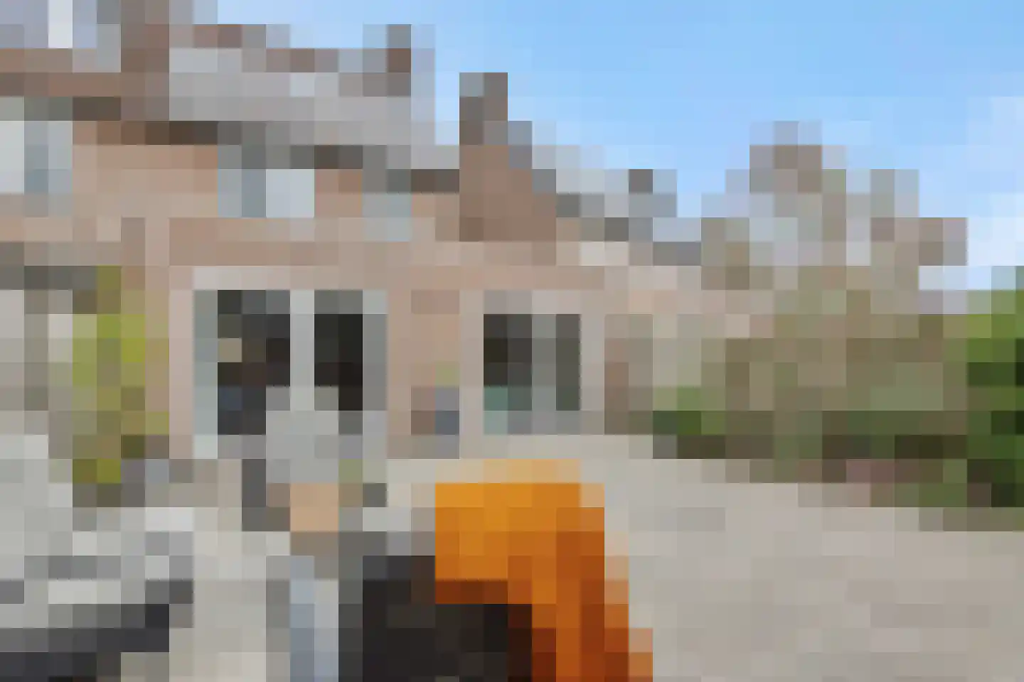 Goudesteinstede 13 's-Hertogenbosch thumbnail 28
