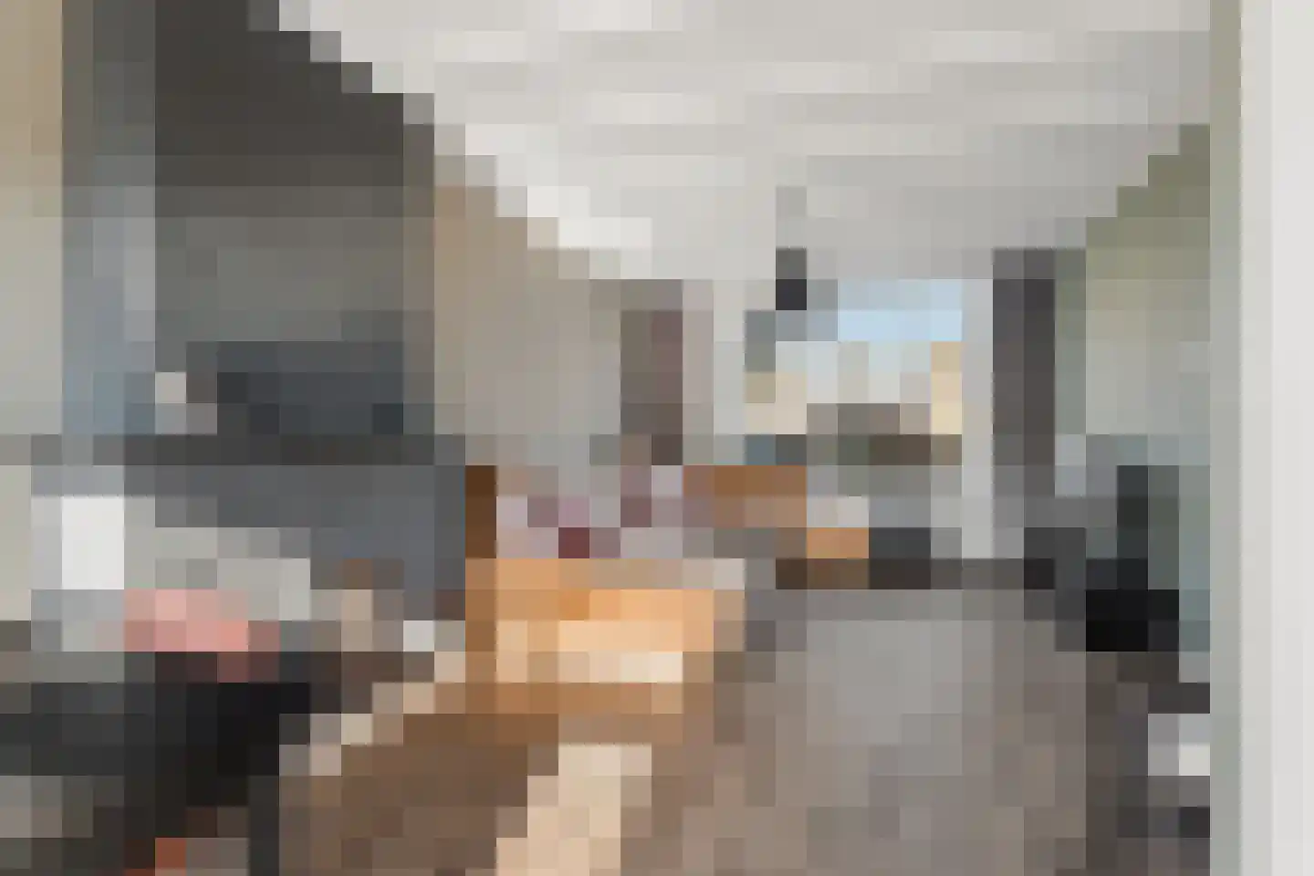 Goudesteinstraat 25 Nijmegen thumbnail 4