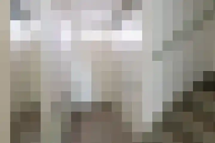 Goudfazant 15 Nieuwegein thumbnail 11