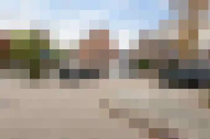 Goudfazant 15 Nieuwegein thumbnail 13