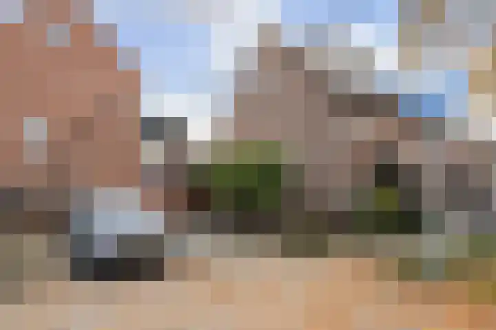Goudfazant 15 Nieuwegein thumbnail 14