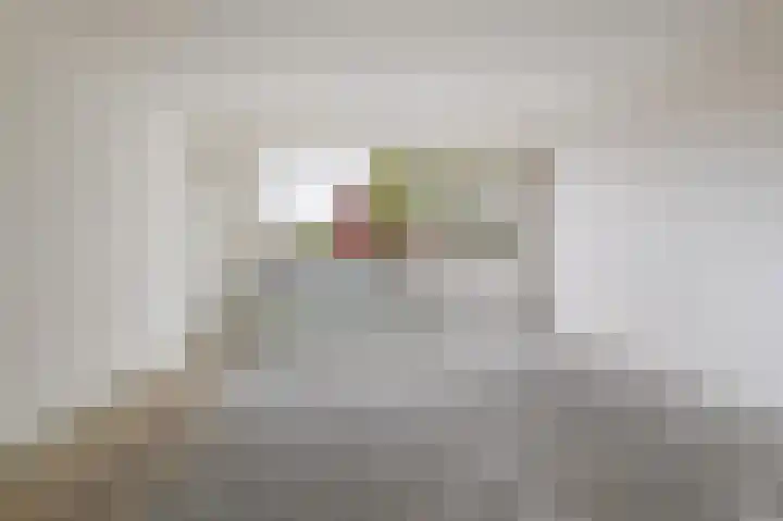 Goudfazant 15 Nieuwegein thumbnail 17
