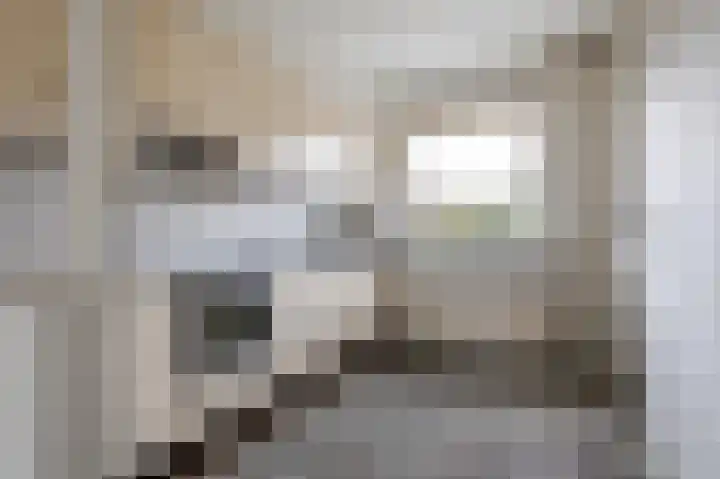 Goudfazant 15 Nieuwegein thumbnail 23
