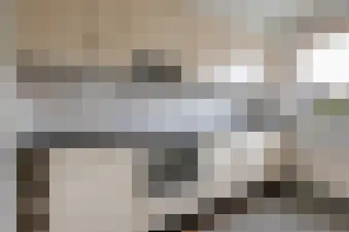 Goudfazant 15 Nieuwegein thumbnail 24