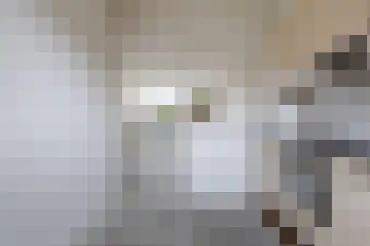 Goudfazant 15 Nieuwegein thumbnail 25