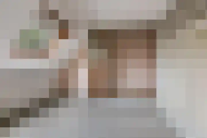 Goudfazant 15 Nieuwegein thumbnail 31