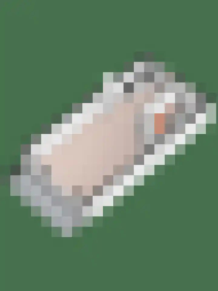 Goudfazant 15 Nieuwegein thumbnail 34