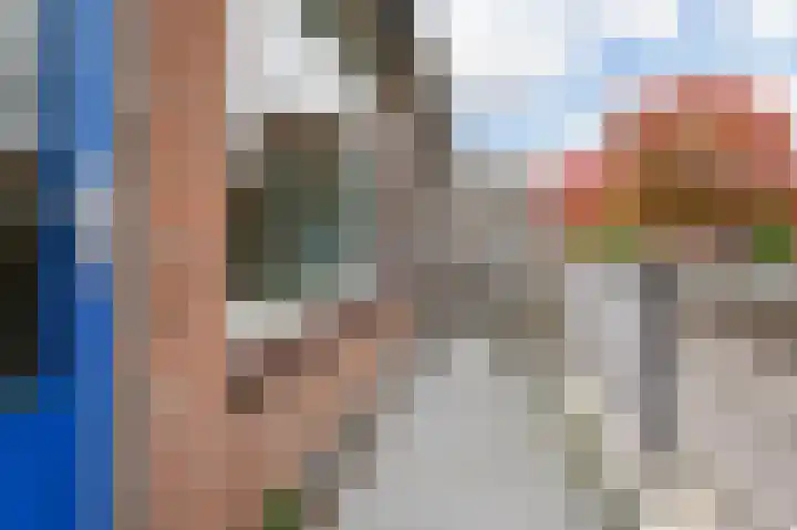 Goudfazant 15 Nieuwegein thumbnail 8