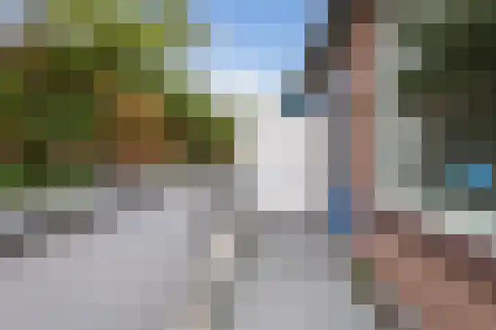 Goudfazant 15 Nieuwegein thumbnail 9