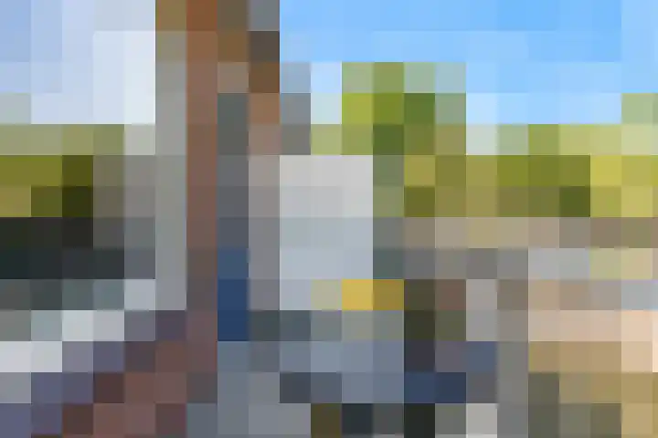 Goudfazant 34 Nieuwegein thumbnail 12