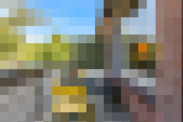 Goudfazant 34 Nieuwegein thumbnail 13