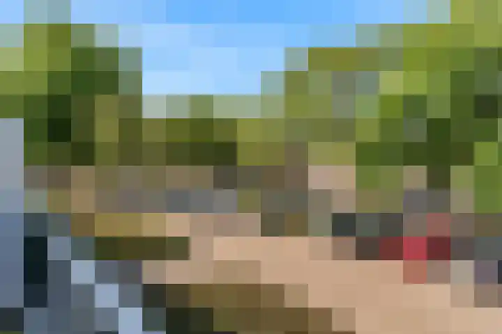 Goudfazant 34 Nieuwegein thumbnail 14