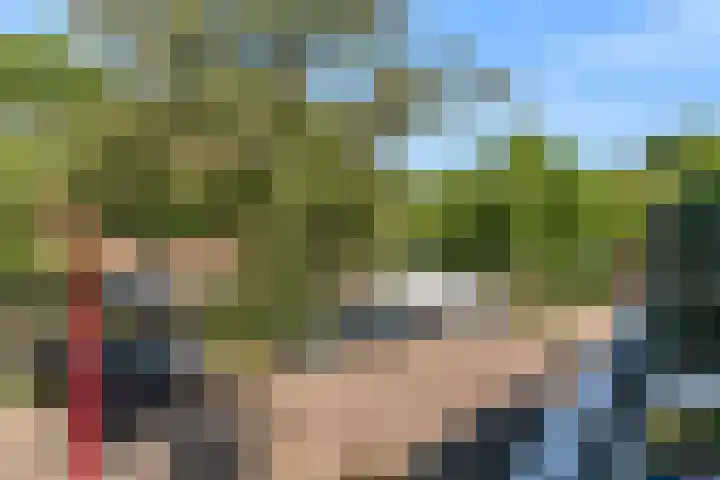 Goudfazant 34 Nieuwegein thumbnail 15