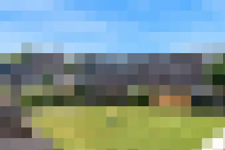 Goudfazant 34 Nieuwegein thumbnail 16