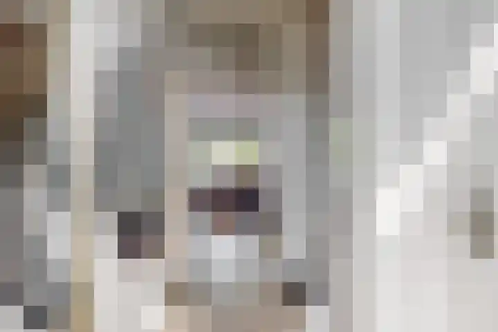 Goudfazant 34 Nieuwegein thumbnail 17