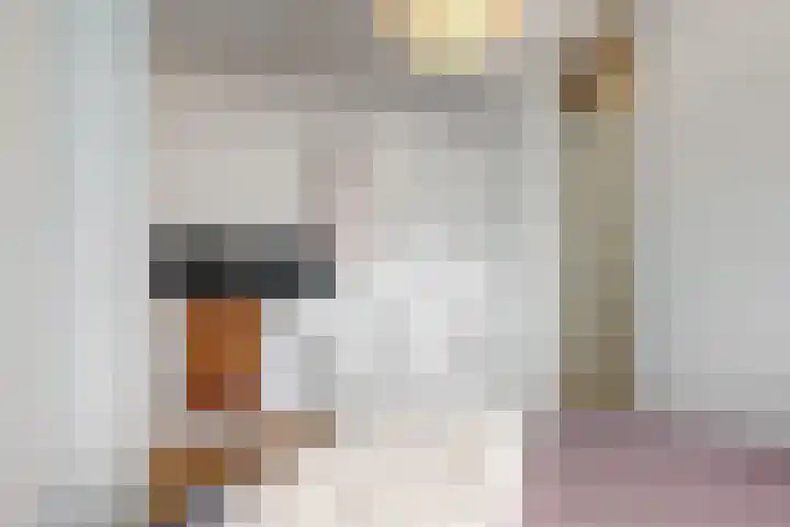Goudfazant 34 Nieuwegein thumbnail 27