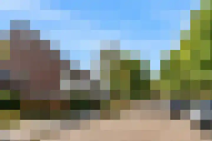 Goudfazant 34 Nieuwegein thumbnail 31