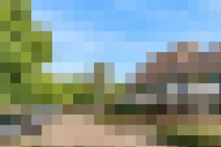 Goudfazant 34 Nieuwegein thumbnail 32