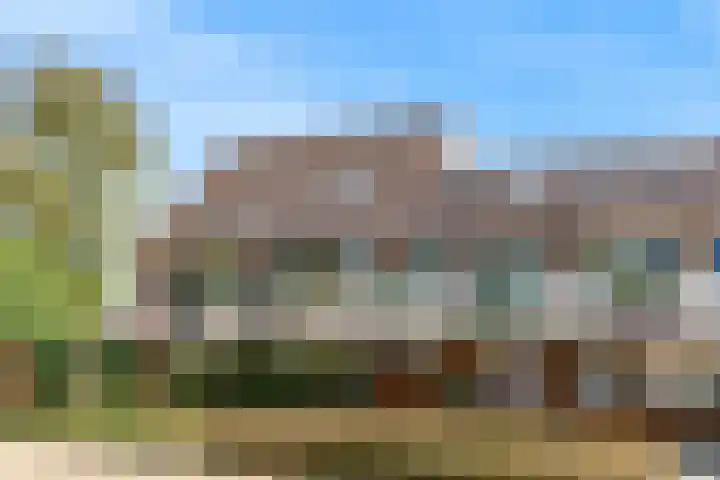 Goudfazant 34 Nieuwegein thumbnail 33