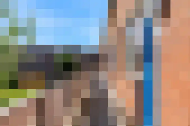 Goudfazant 34 Nieuwegein thumbnail 34