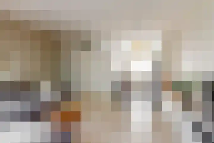 Goudfazant 34 Nieuwegein thumbnail 5