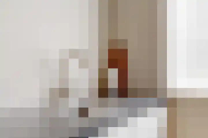 Goudfazant 34 Nieuwegein thumbnail 8