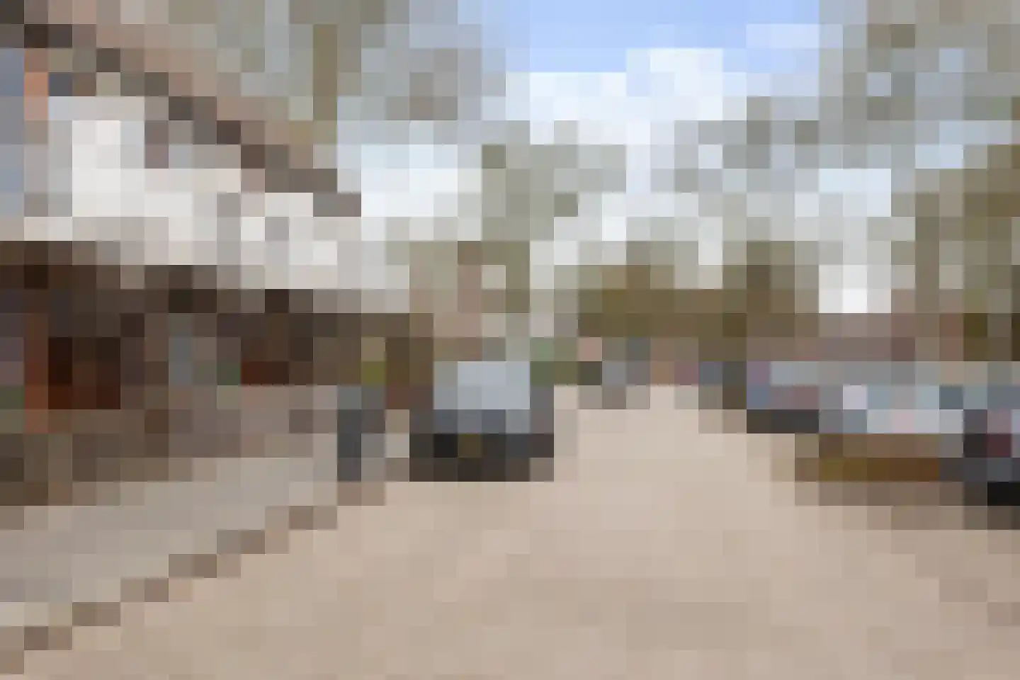 Goudfazant 4 Nieuwegein thumbnail 11