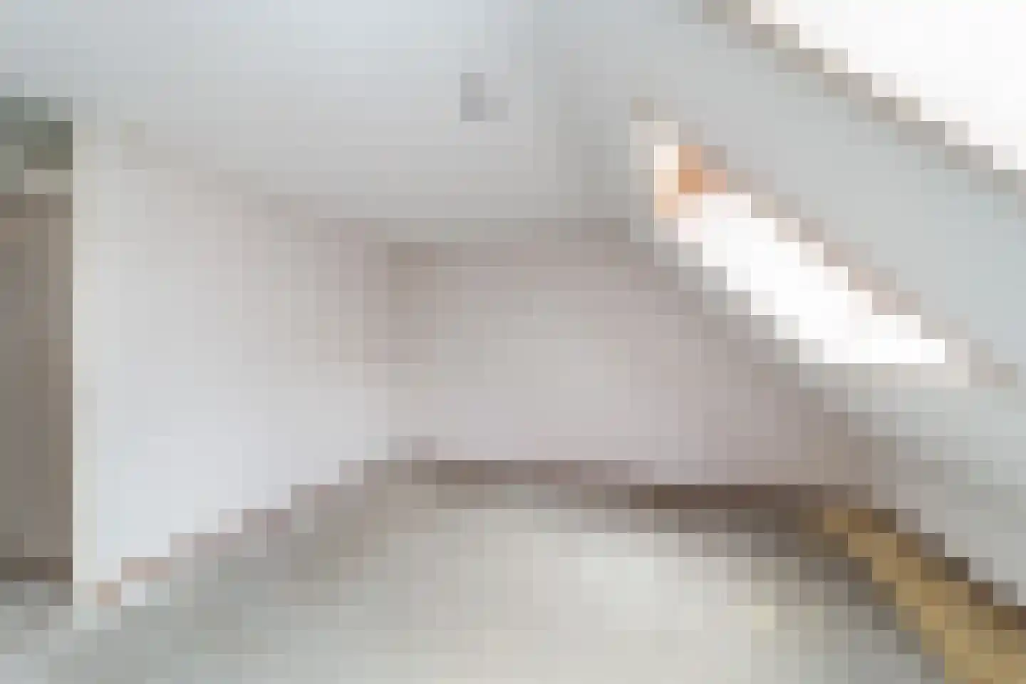 Goudfazant 4 Nieuwegein thumbnail 13
