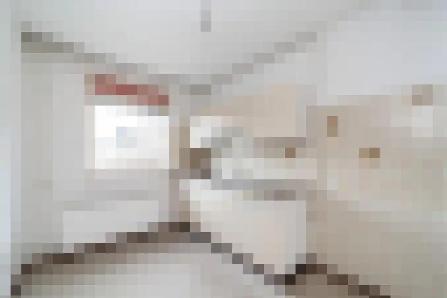 Goudfazant 4 Nieuwegein thumbnail 18