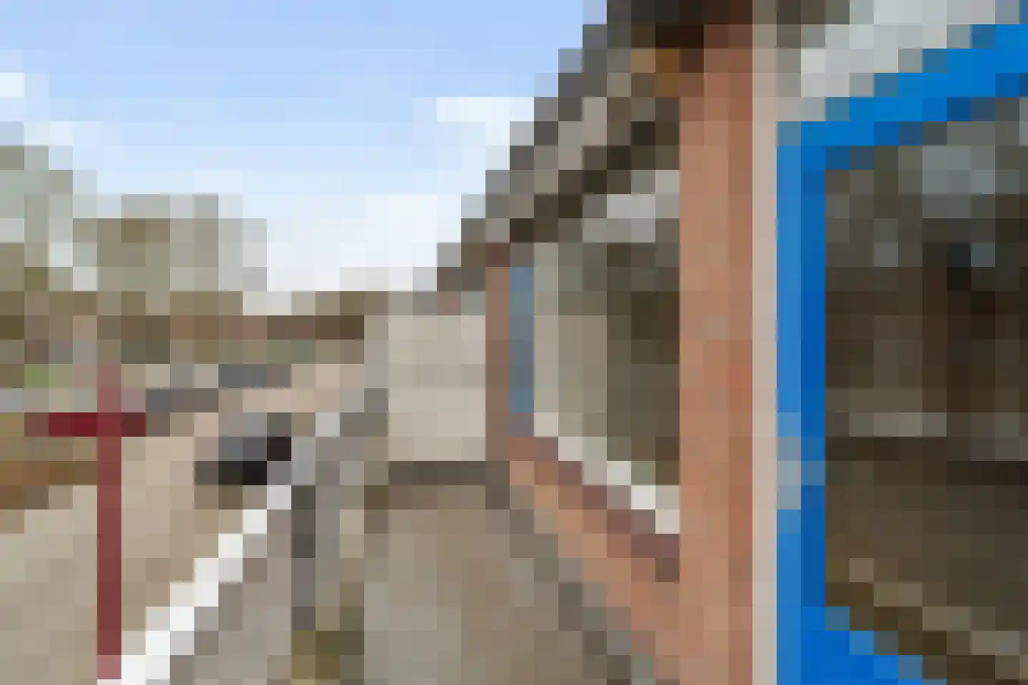 Goudfazant 4 Nieuwegein thumbnail 21
